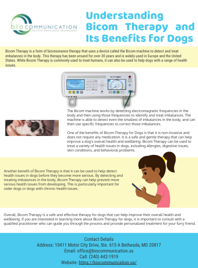 Understanding Bicom Therapy and Its Benefits for Dogs  - by Bio Communication [Infographic]